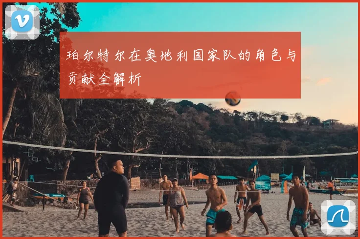 珀尔特尔在奥地利国家队的角色与贡献全解析